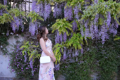 Where to see Wisteria in San Francisco