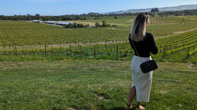 Savoring Sonoma: 4 Wineries for a Perfect Wine Tasting Experience