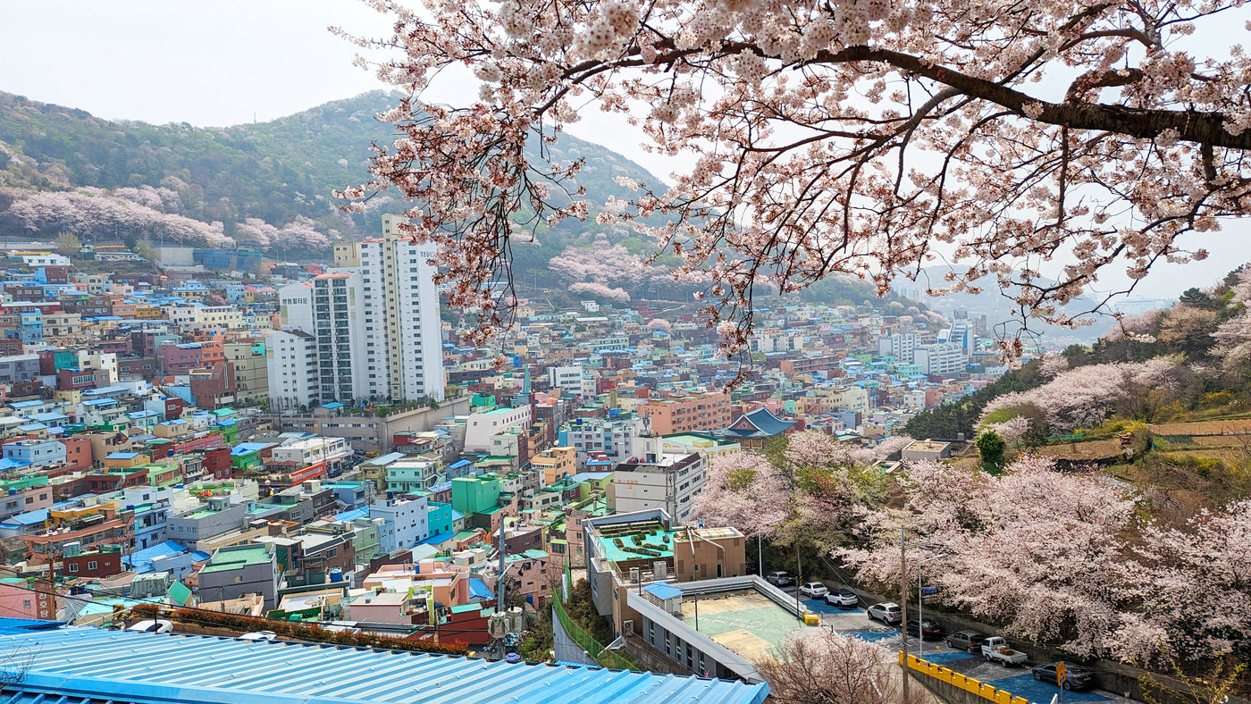 A 3-Day Itinerary for Busan, South Korea: Exploring the Coastal Gem