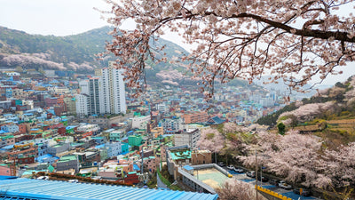 A 3-Day Itinerary for Busan, South Korea: Exploring the Coastal Gem