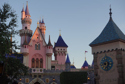 A Mom’s 5 tips to Disneyland: Guide for first trip to land of magic in over a decade - Kid's first trip!