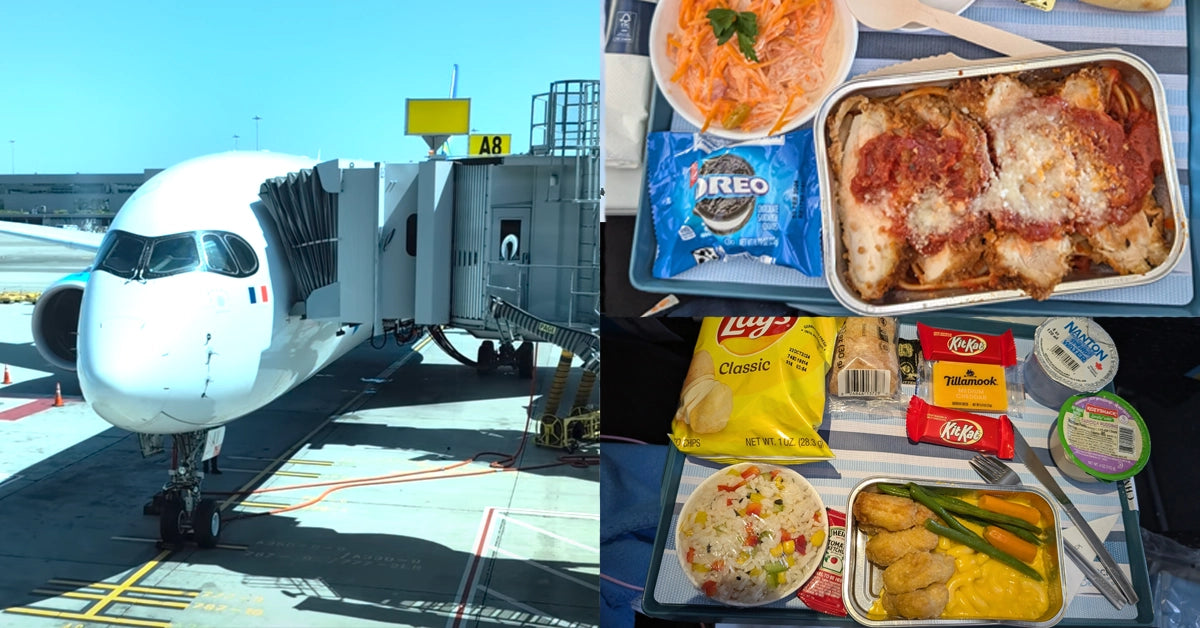 Frenchbee Airplane and in-flight meals