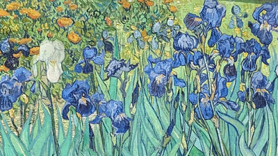 Where can I see "Irises" by Vincent van Gogh in Person?